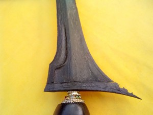 gandi jalak ngore